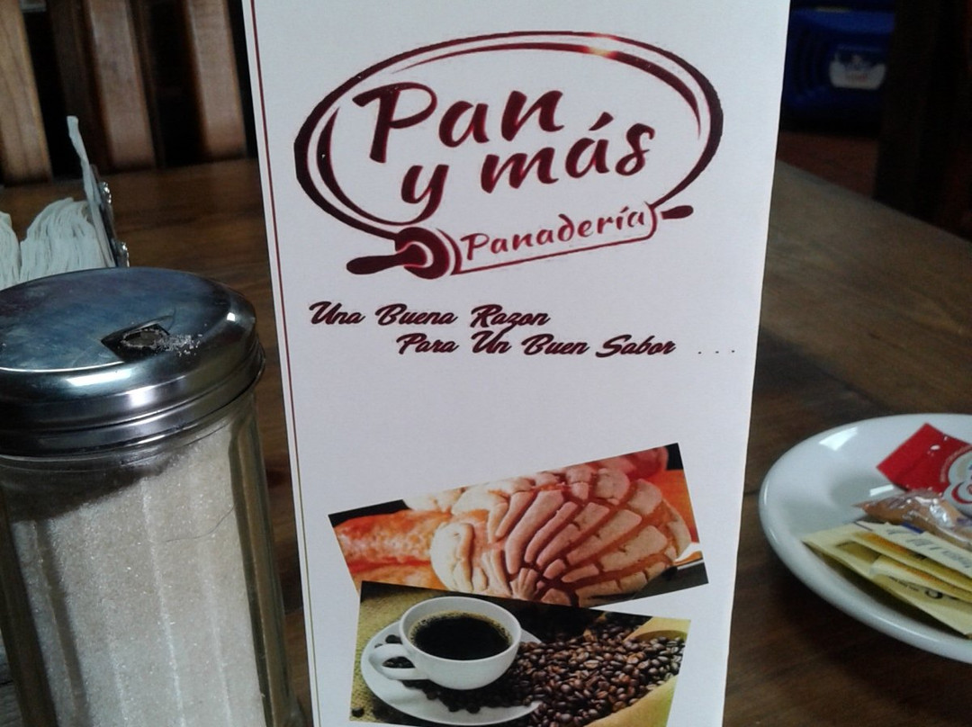 Soto la Marina旅游攻略图片