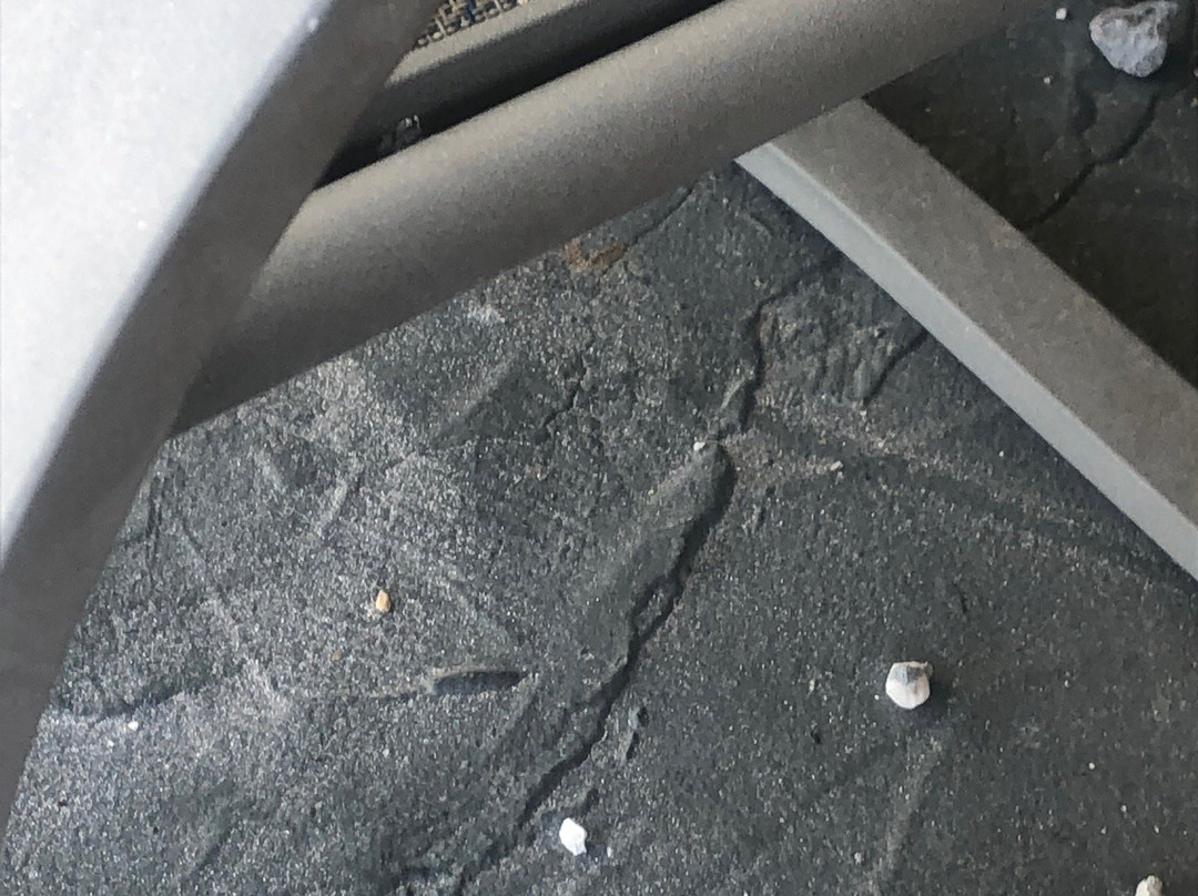 Royal Garden Resort主图