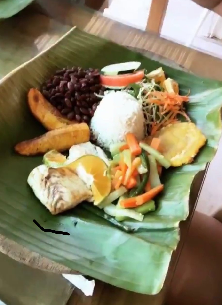 Hotel Casa Chameleon Mal Pais-餐饮