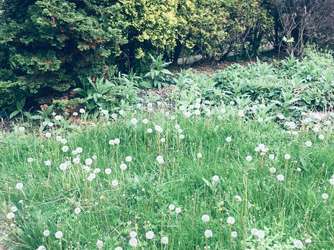 Rocking Horse Inn主图