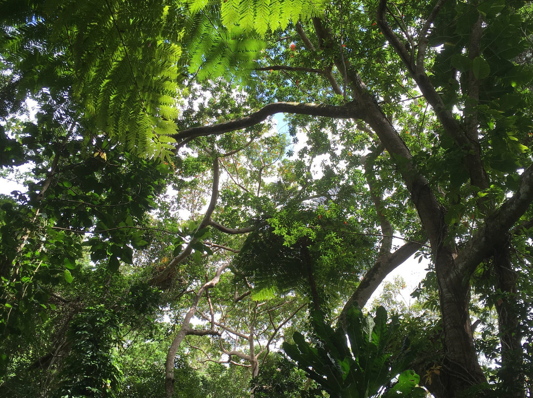 Grotte de Hortense-Ile Des Pins必去景点