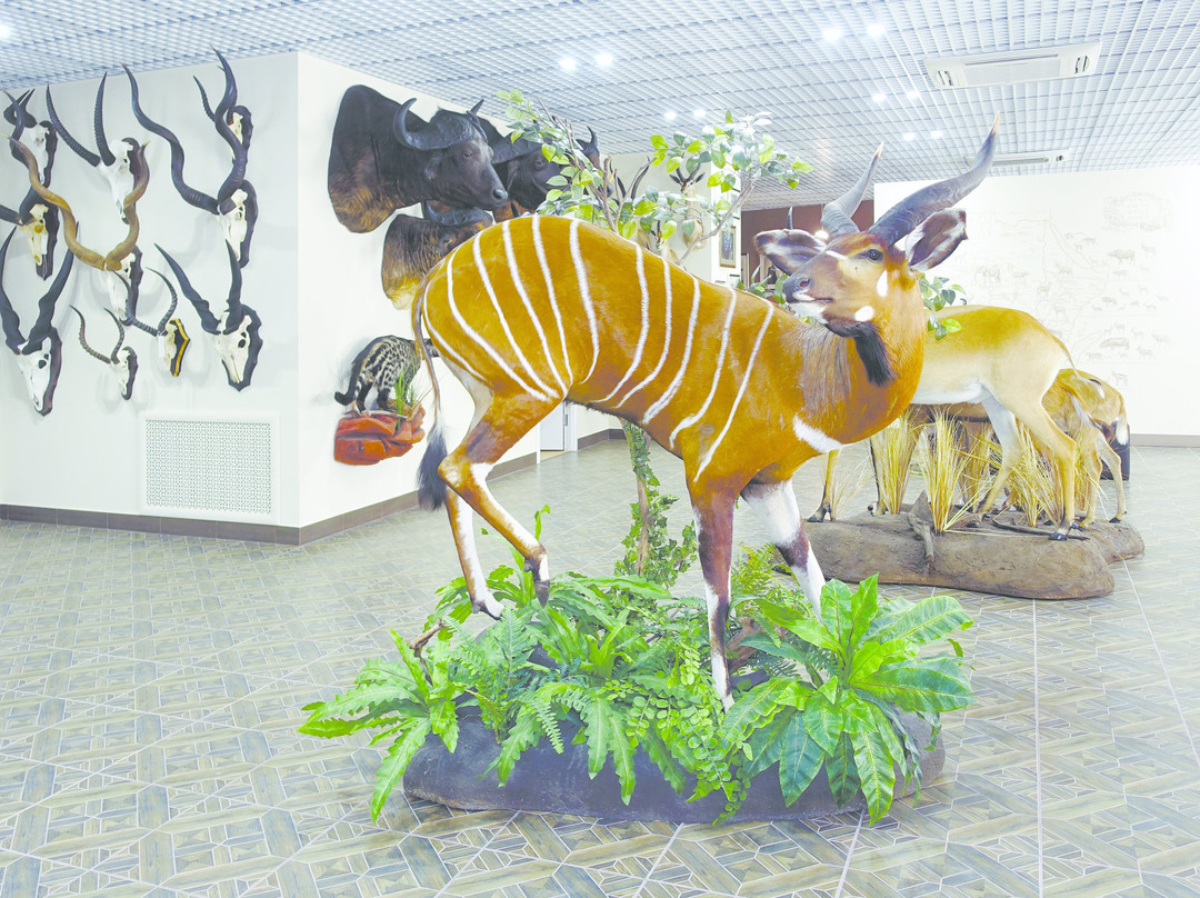 Private Gallery Unique-彼尔姆必去景点