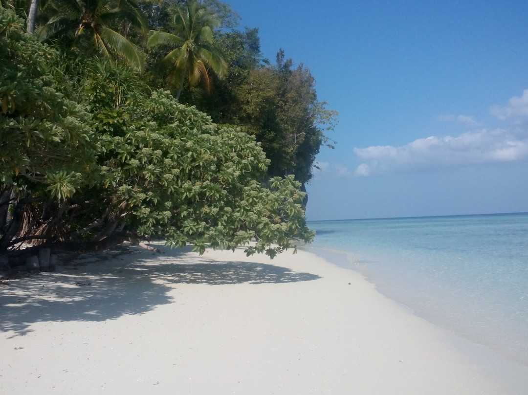 Mansuar Island旅游攻略图片