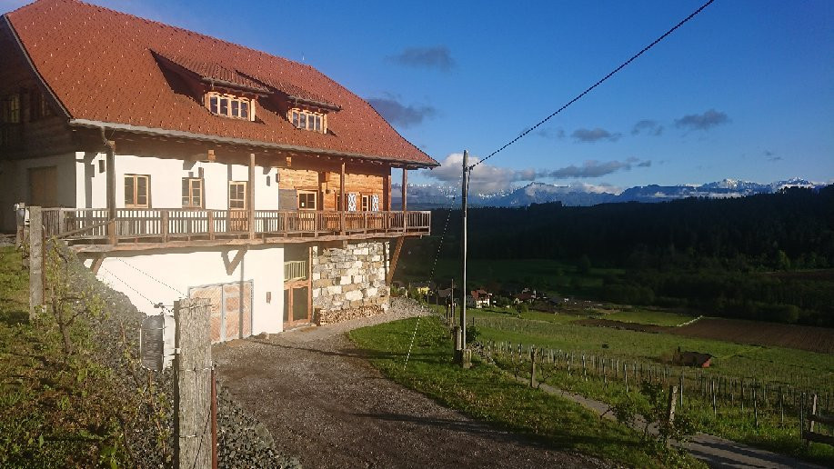 Weingut Karnburg景点图片