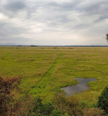 Keibul Lamjao National Park-Bishnupur District必去景点