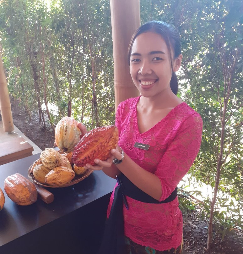 Pod Chocolate Main Factory & Outlet-孟格威必去景点