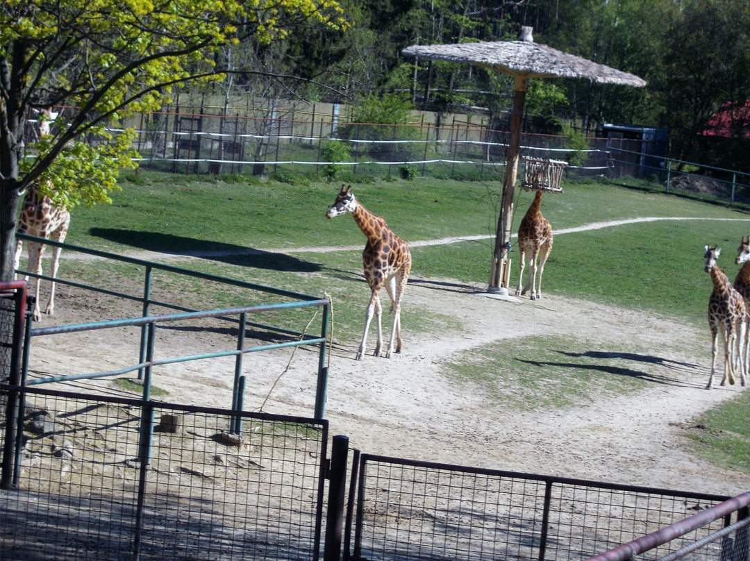 Zoo Olomouc景点图片