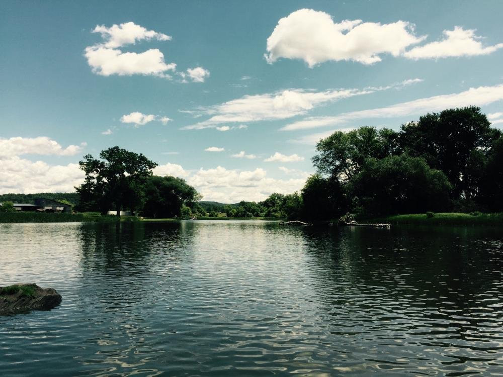 Whitehall Field Club - Field, Rod, Golf & Gun-Whitehall必去景点