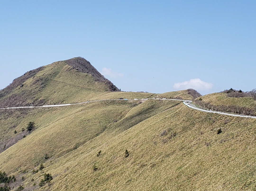 UFO Line-伊野町必去景点
