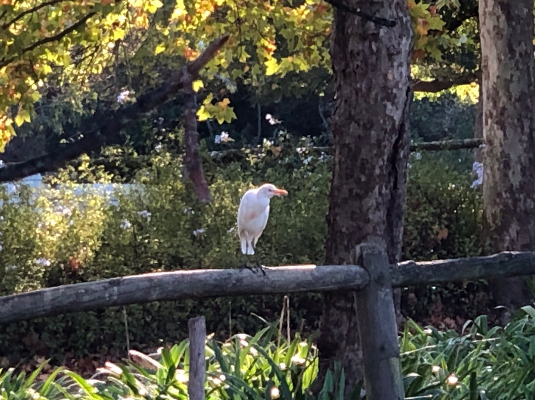 Natte Valleij Farm主图