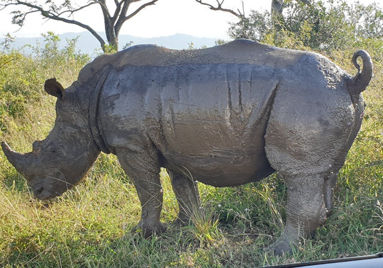 Durban Tours and Safaris-德班必去景点