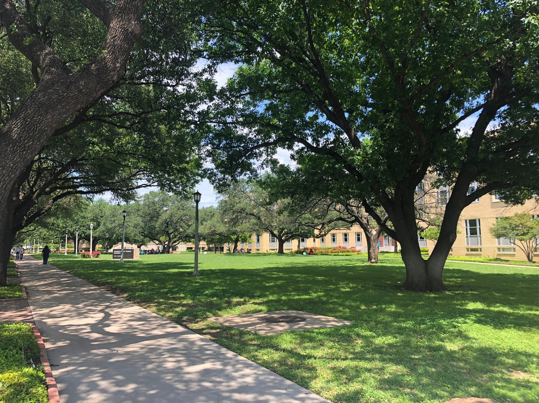 Texas Christian University景点图片