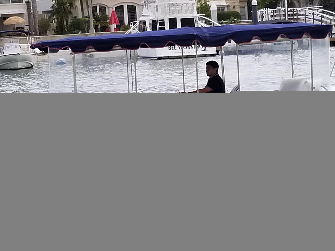 Dolphin Boat Rental Newport Beach-纽波特海滩必去景点