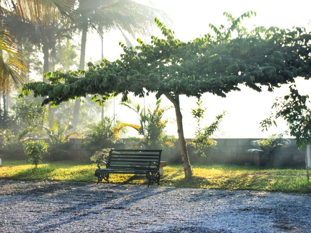 Three Roots Resort主图