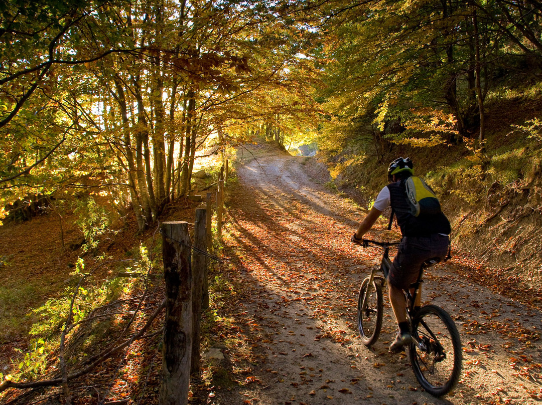 Singletrack School-多肯必去景点