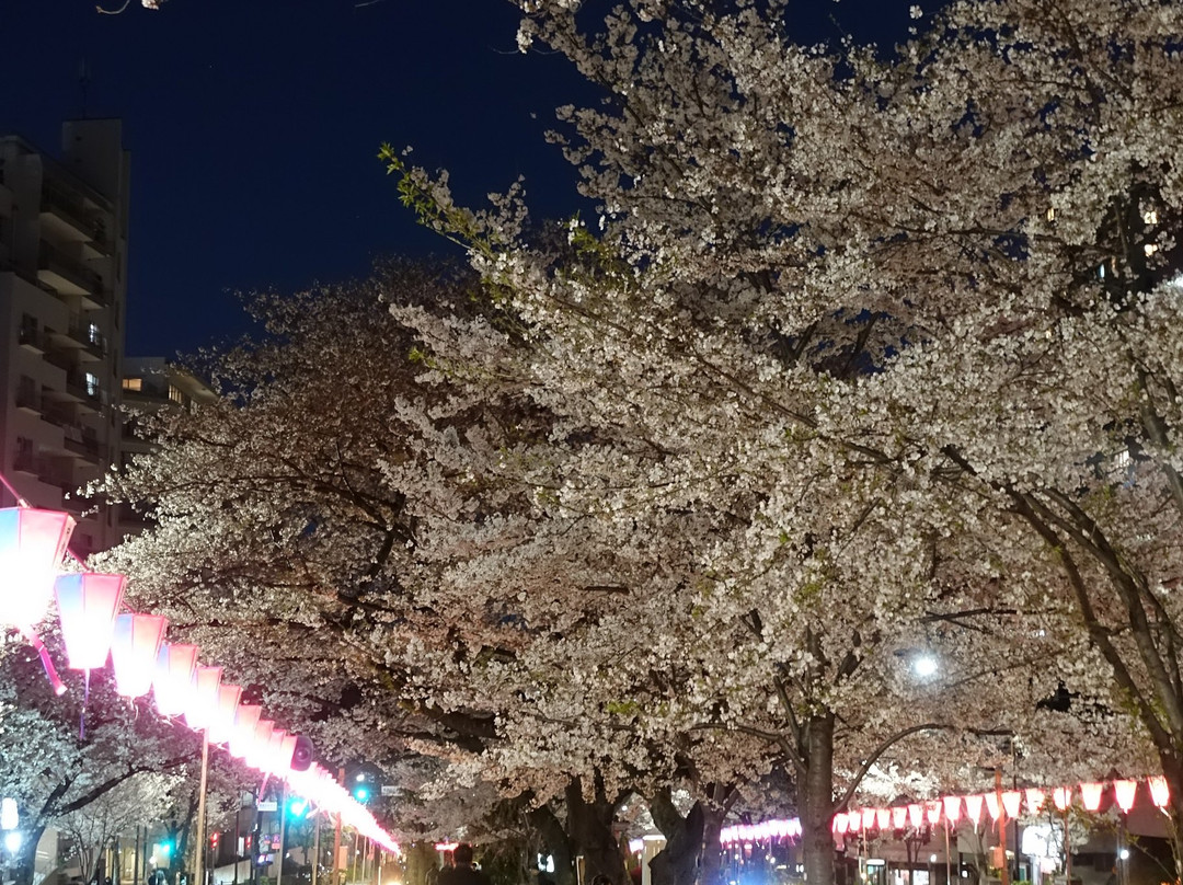 Harimazaka (Harima Slope)-文京区必去景点