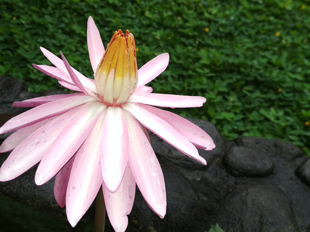 泊多克缇加尔酒店主图