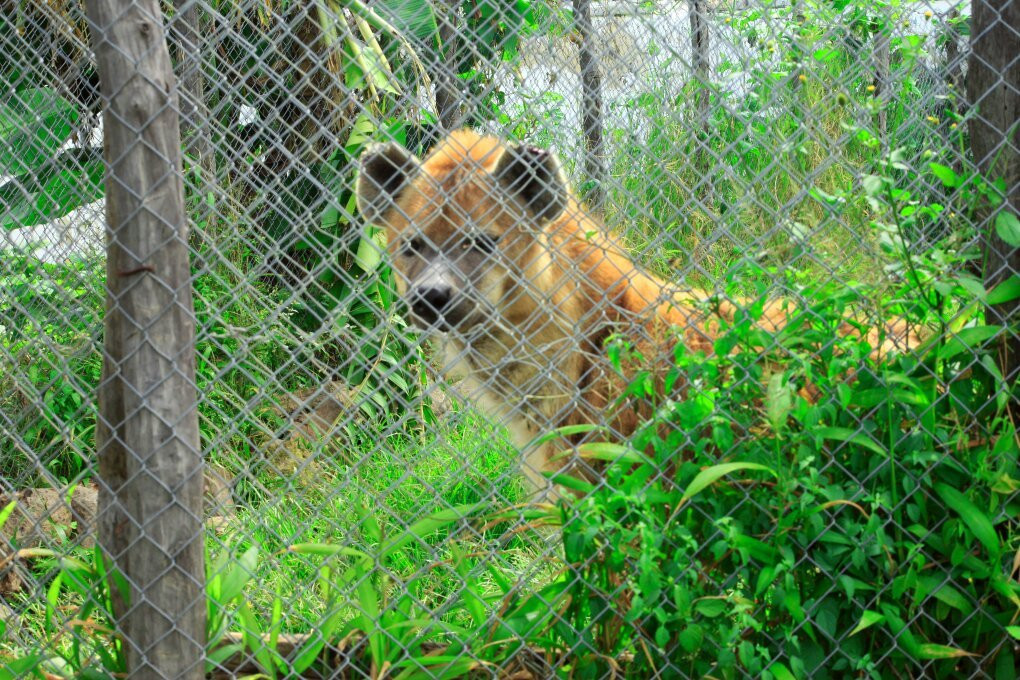 Ifisi Zoo-姆贝亚必去景点