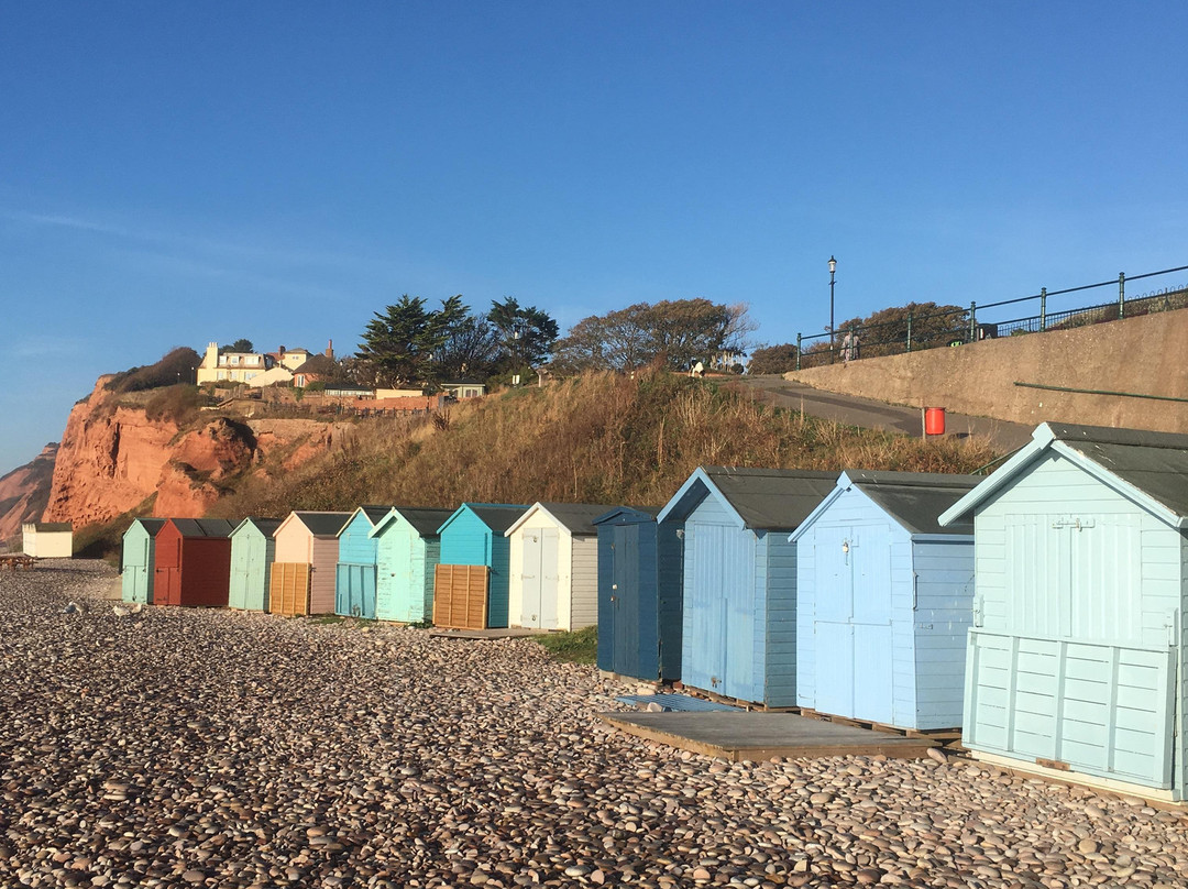 Budleigh Salterton Tourist Information Centre景点图片