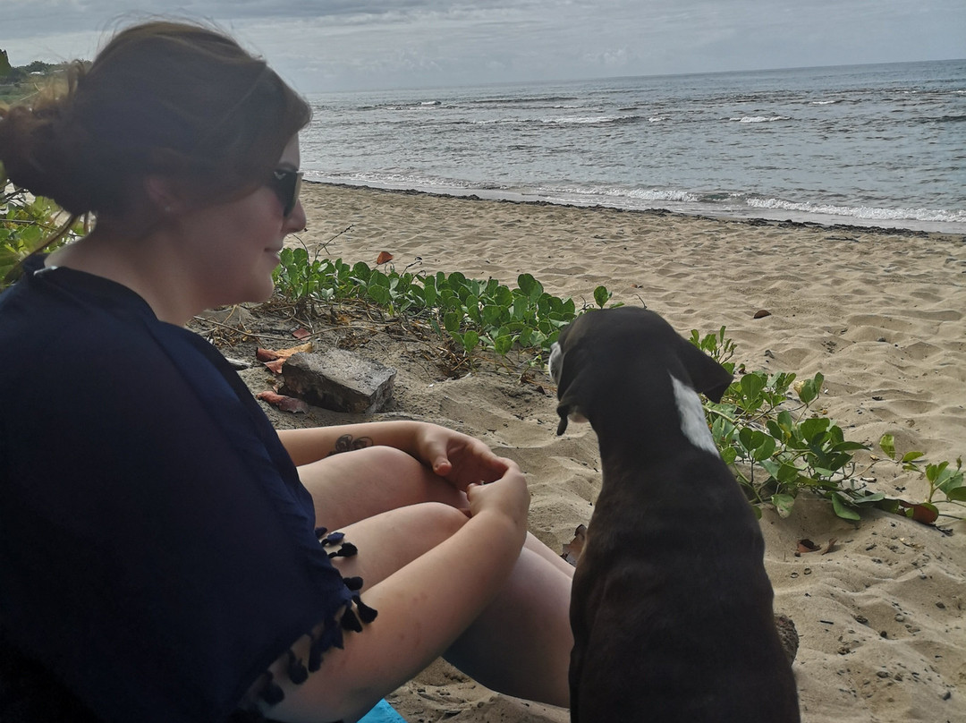 Irie Rest Guest House主图