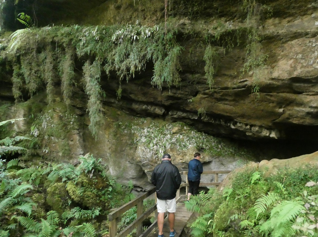 New Zealand I Drive-莫图伊卡必去景点