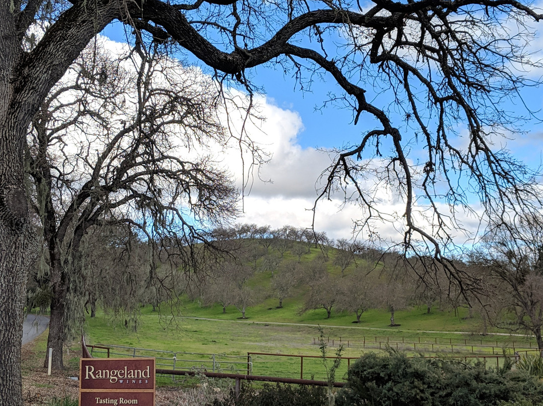 Rangeland Wines景点图片