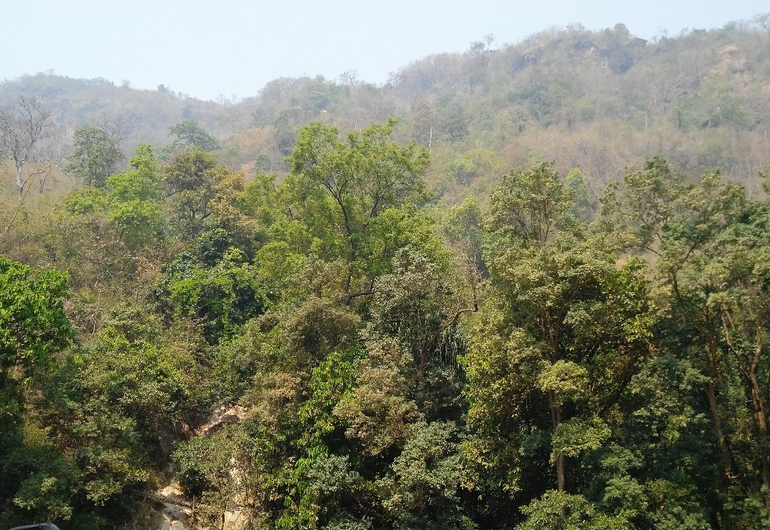 Dat Taw Gyaint Waterfall Resort主图