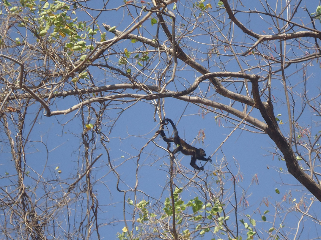 贡查尔酒店主图