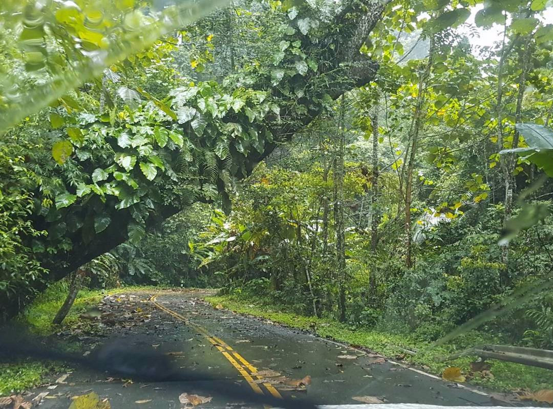 Tat Mok National Park-碧差汶必去景点
