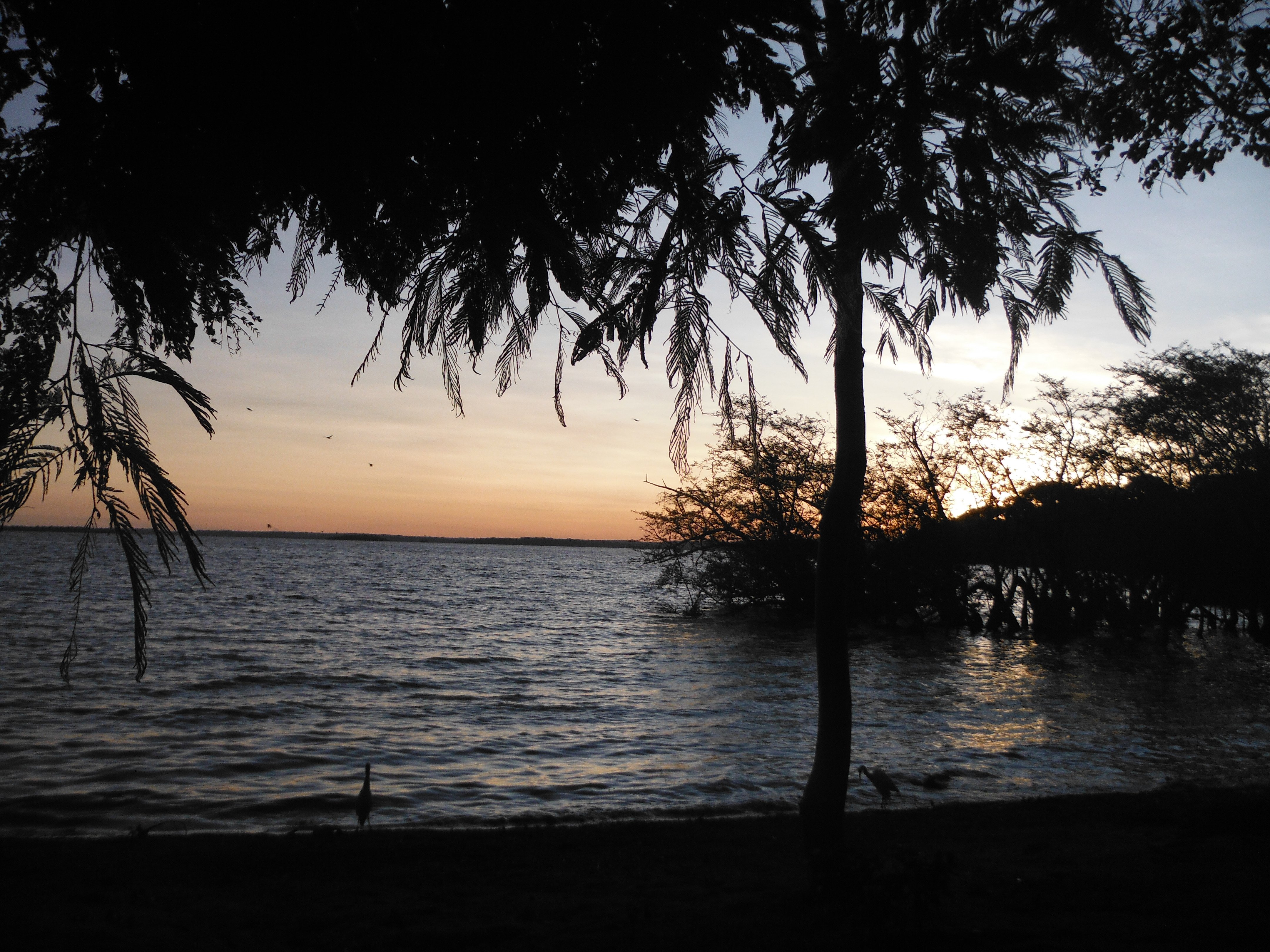 Banda Island Resort-泳池