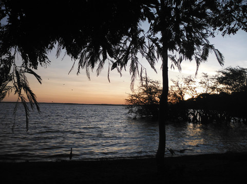 Banda Island Resort主图