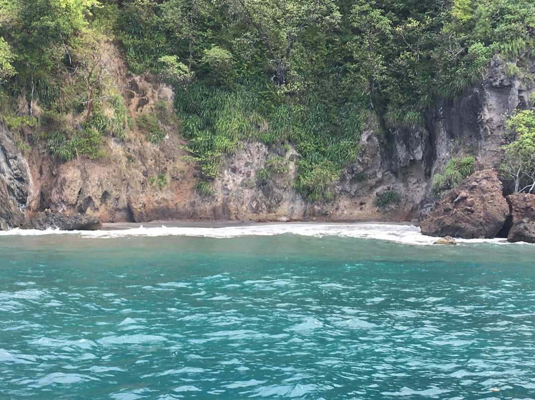 Découverte des Dauphins avec Jean-Guy-Le Precheur必去景点