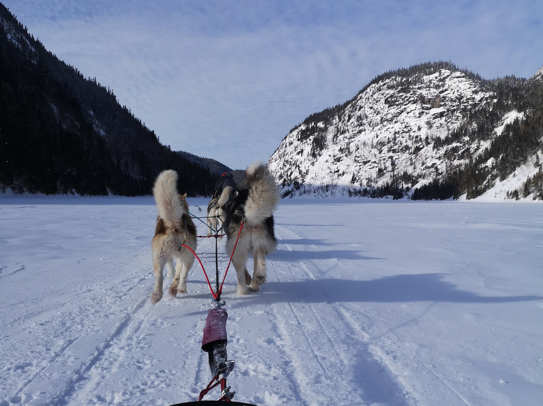 2023年11月Entre chien et loup景点攻略Entre chien et loup门票预订地址图片Entre chien et loup景点点评猫途鹰