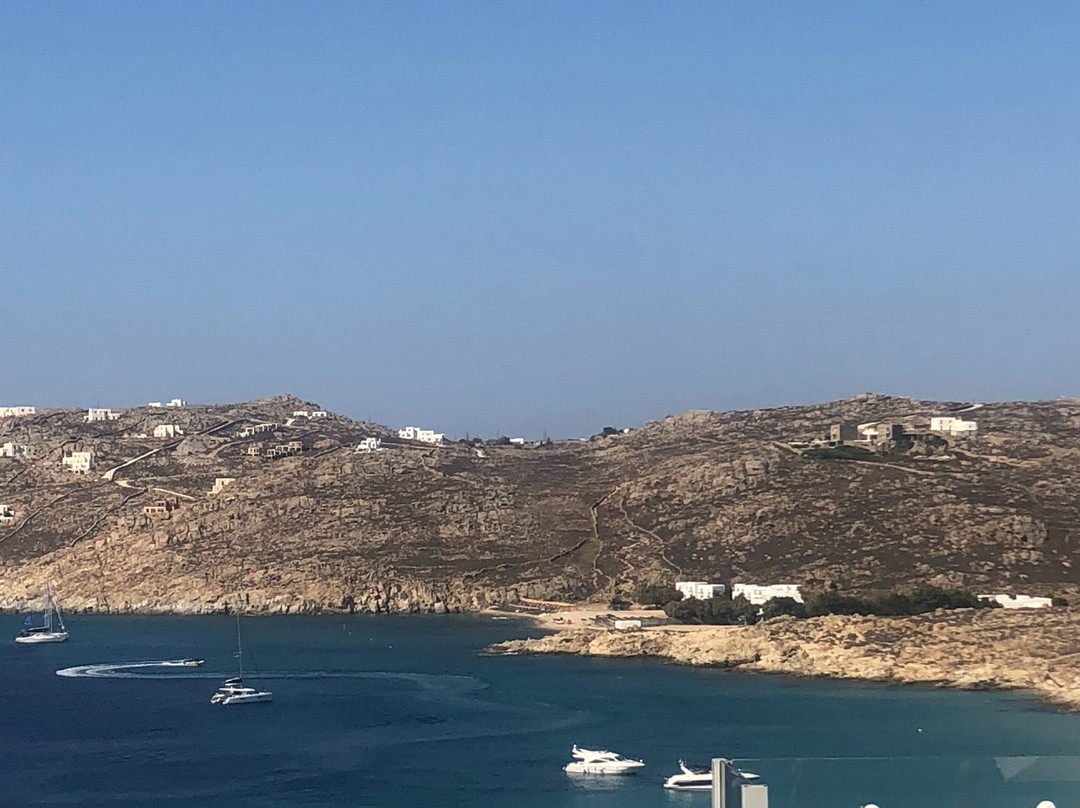 Royal Myconian主图