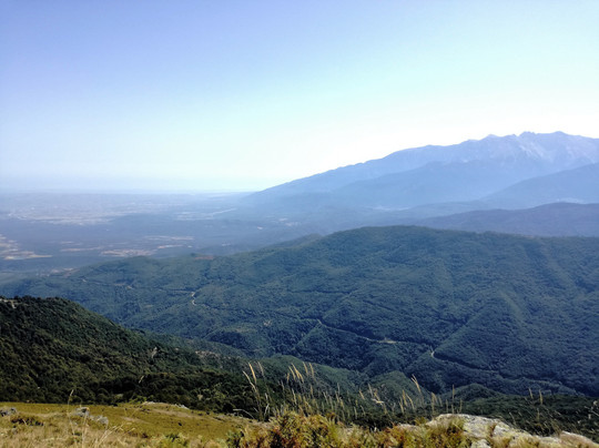 Green Oliver-塞萨洛尼基必去景点