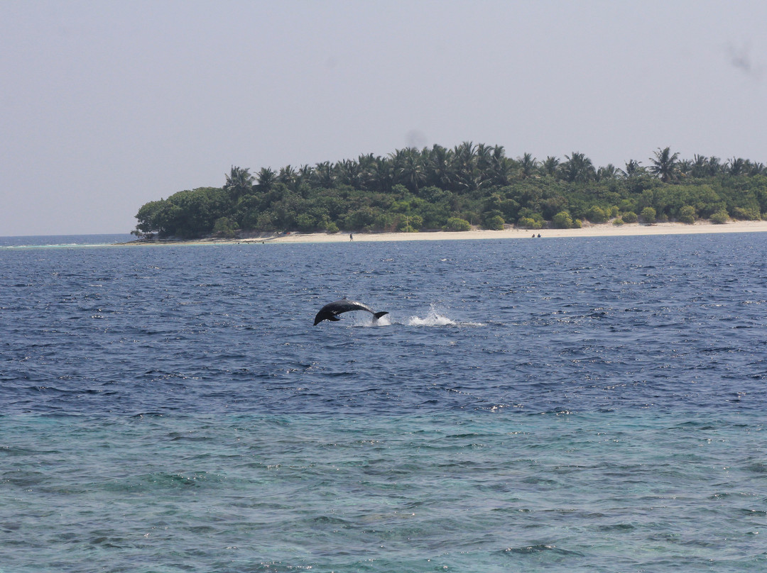 Summer Shade Maldives主图