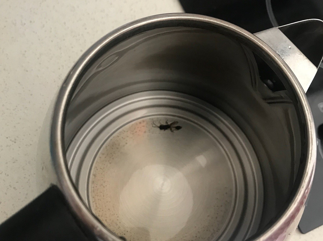 拜伦中央公寓主图