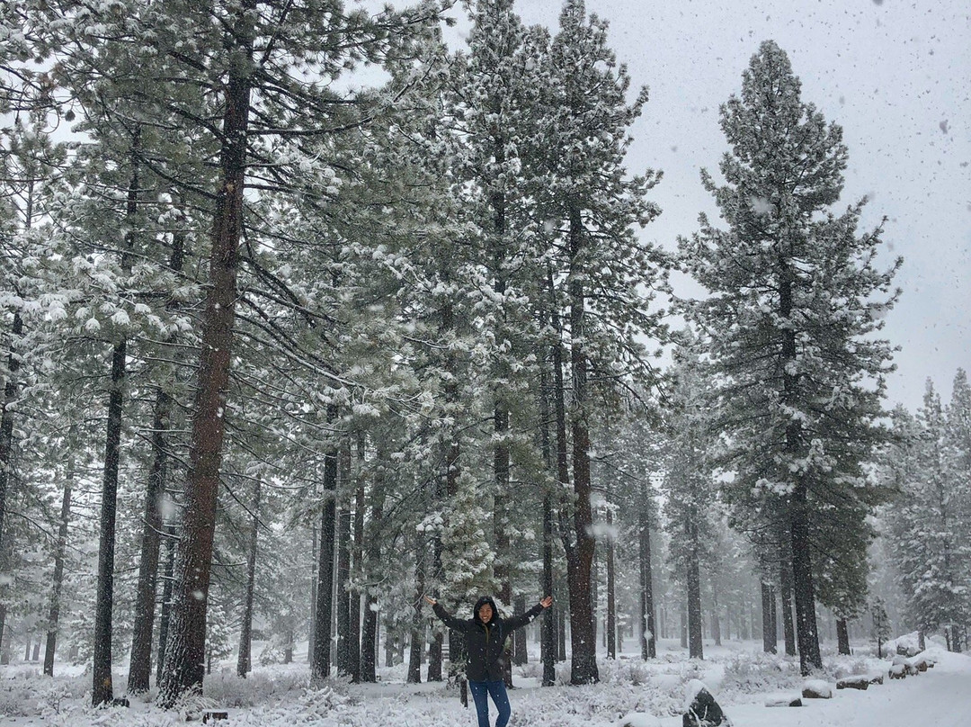 Bijou Community Park - Disc Golf-南太浩湖必去景点