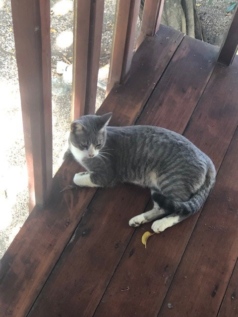 Hotel Brasilito主图