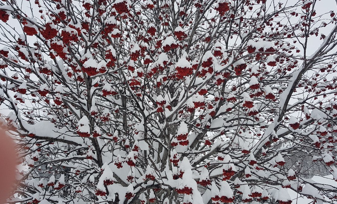 Auberge Du Clot主图