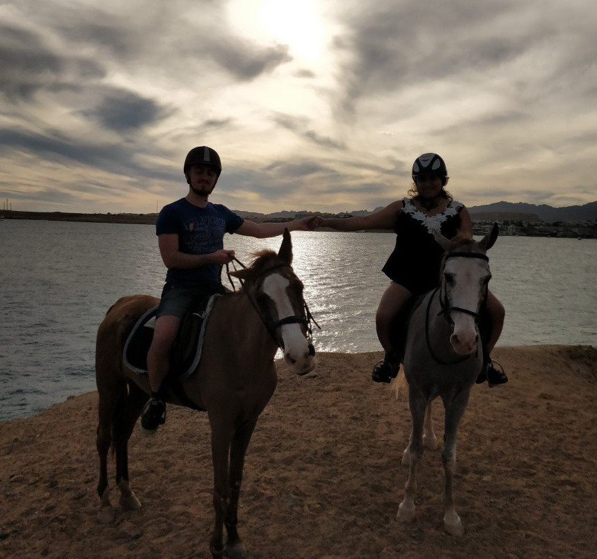 The Stable-沙姆沙伊赫必去景点