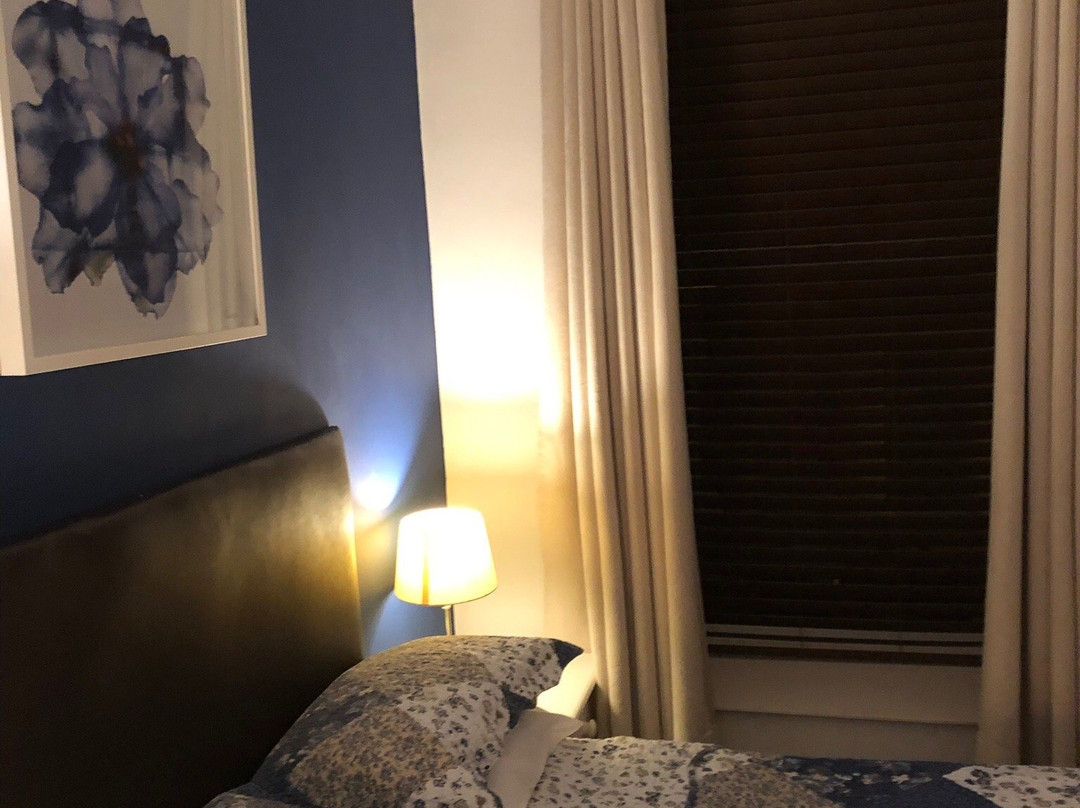 Bed and Blueberry主图