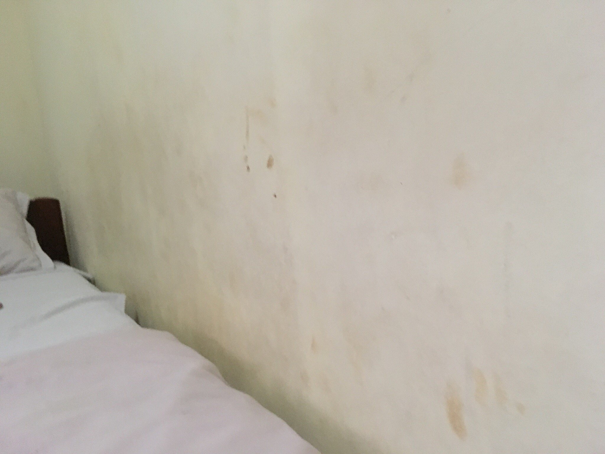 花园宾馆酒店-官方