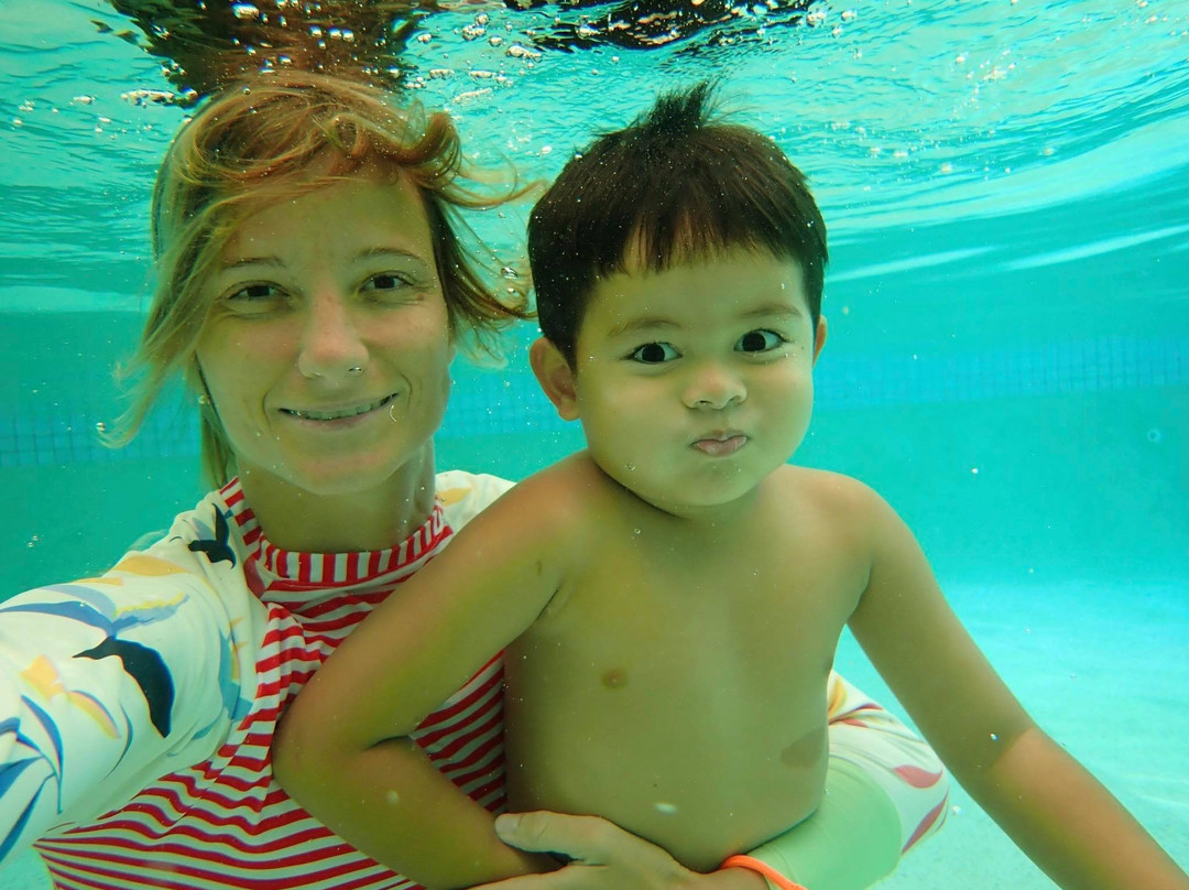 Airlie Beach Dive Centre-艾尔利滩必去景点