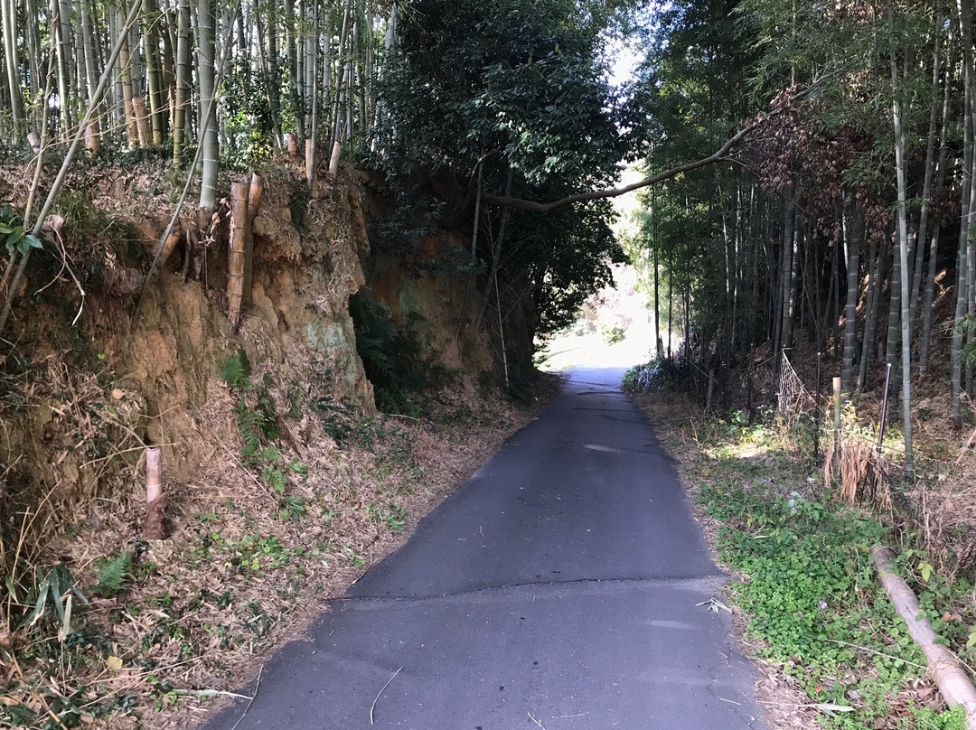 Remians of Kunikyu Palace-木津川市必去景点