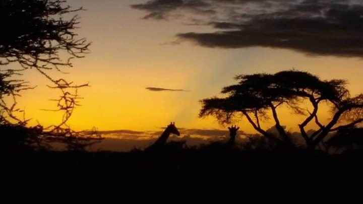 Smart Wildlife Safaris Ltd-乞力马扎罗区必去景点