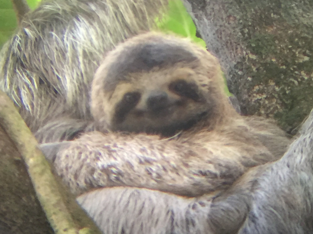 Manuel Antonio National Park景点图片