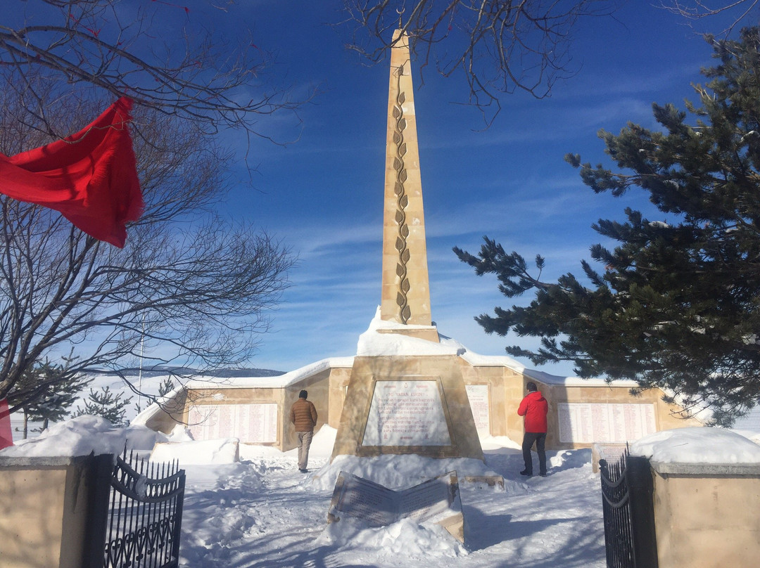 Sarikamis旅游攻略图片