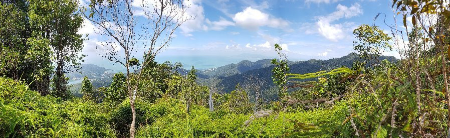 Penang Longest Trail景点图片