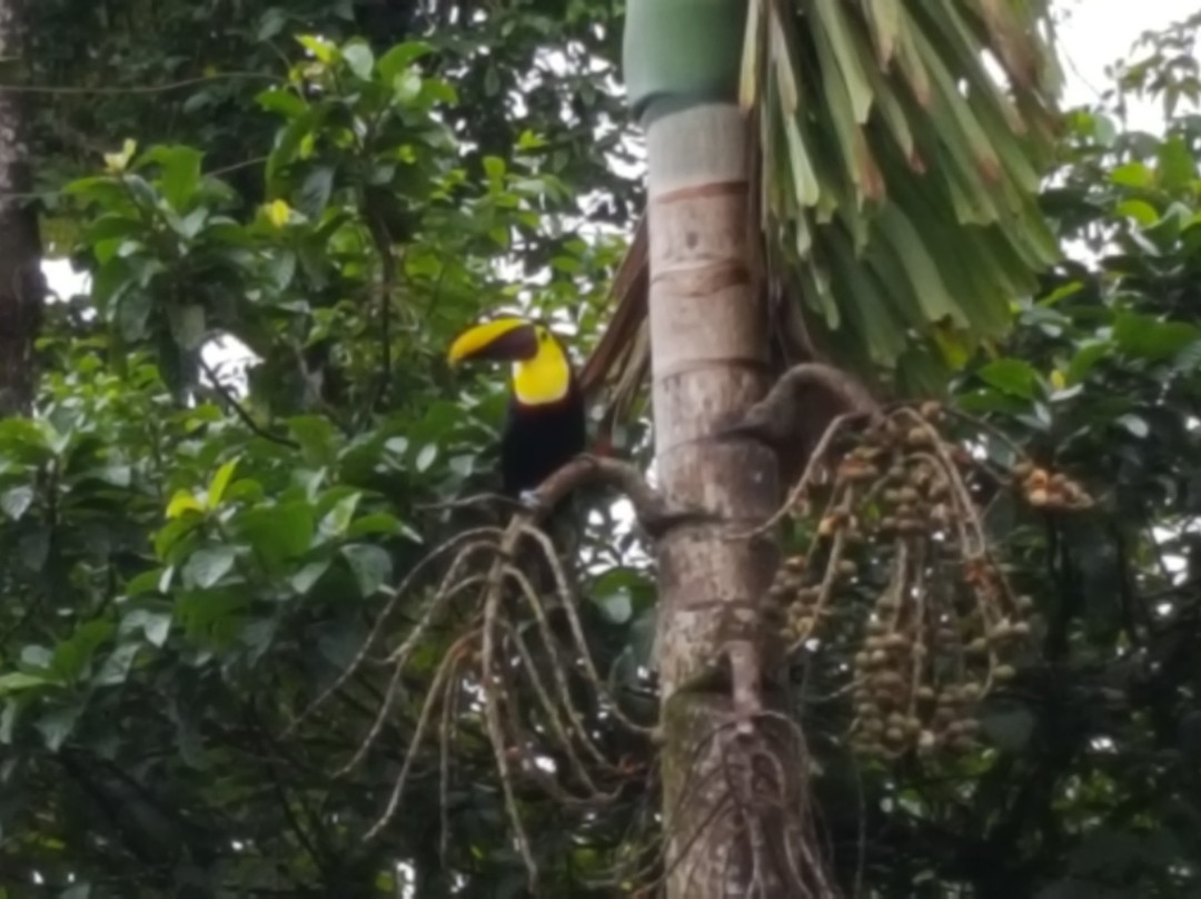 Cristal Ballena Boutique Hotel & Spa主图